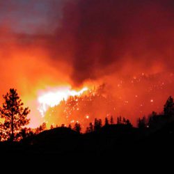 evitar los incendios forestales ~ A2J Extintores
