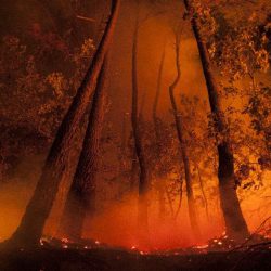 incendios forestales ~ A2J Extintores